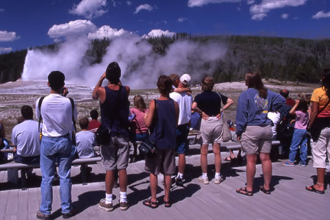 crowds watching old faithful