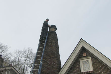 Tommy on the ladder