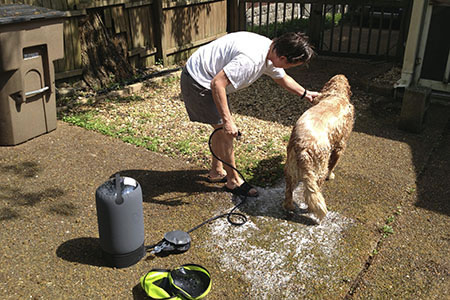 washing Jake with the Helio