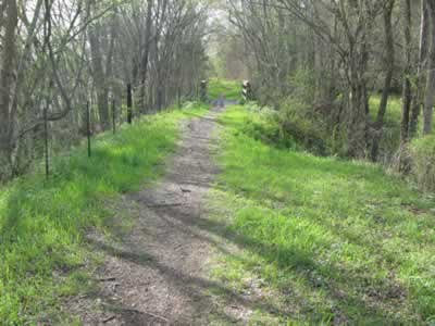 the Eagle Pass segment of the path