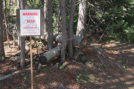 Bear warning sing