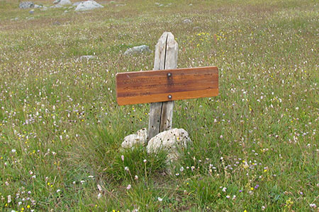Continental Divide Trail sign in a field of wildflowers