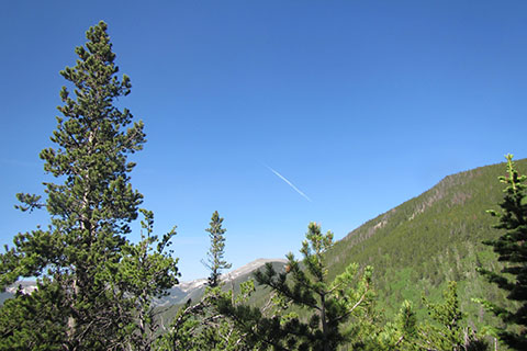 Contrails across the skies in Rocky Mountain National Park