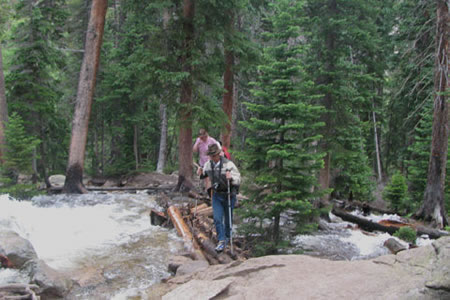crossing the creek on logs