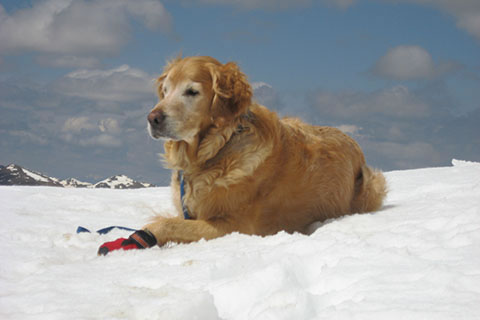 Jake on the summit of Princeton