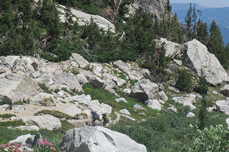 Hikers on the trail near the Meadows junction