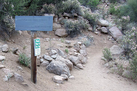 La Luz Trail Sign