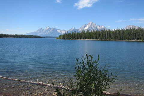 Mount Moran from the shores of Jackson Lake