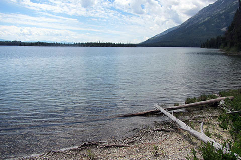 from the north shore of Leigh Lake