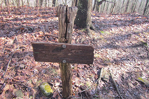 Old trail sign at Rye Patch on Long Hungry Ridge Trail
