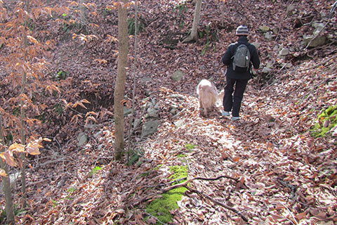 Recreation Hall to Lake spur trail with woman and dog