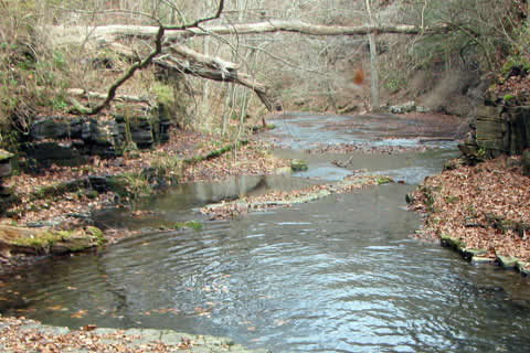 Bobo Creek