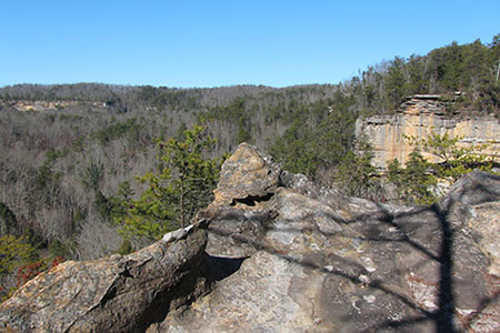 The view of the Canyon from the Overlook