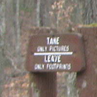 take only photos and leave only footprints