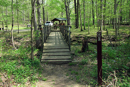 Bridge at the picnic shelter