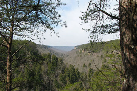view of Savage Gulf from Rattlesnake Point