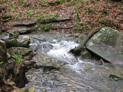 stream crossing the trail in the Savage Gulf