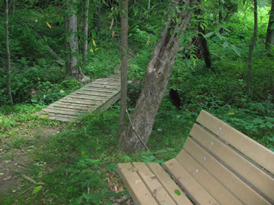 Trail at Cordell Hull State Park