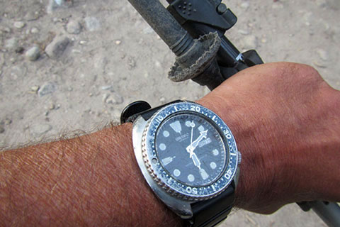 Wrist watch and hiking pole